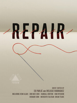 cover image of Repair (Boston Review)